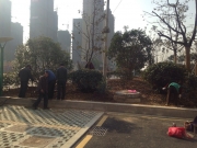 QQ图片20141121092146 QQ图片20141121092146